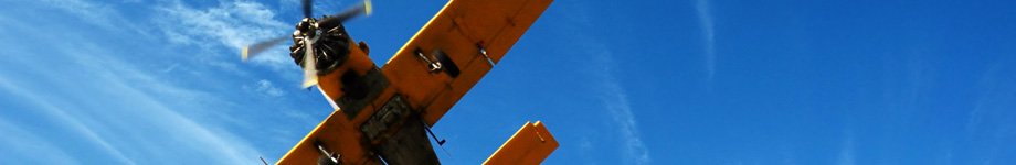 analizzare, criticare, costruire umanità  Rotating Header Image